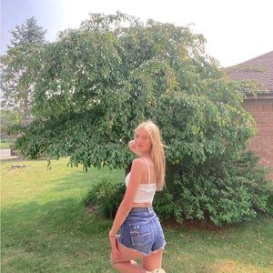 Meet your Posher, Baylie